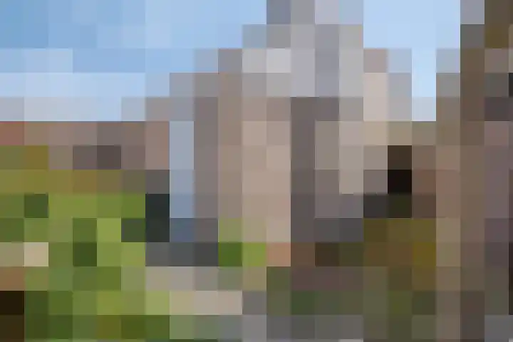 Raadhuisstraat 104 Rosmalen thumbnail 28