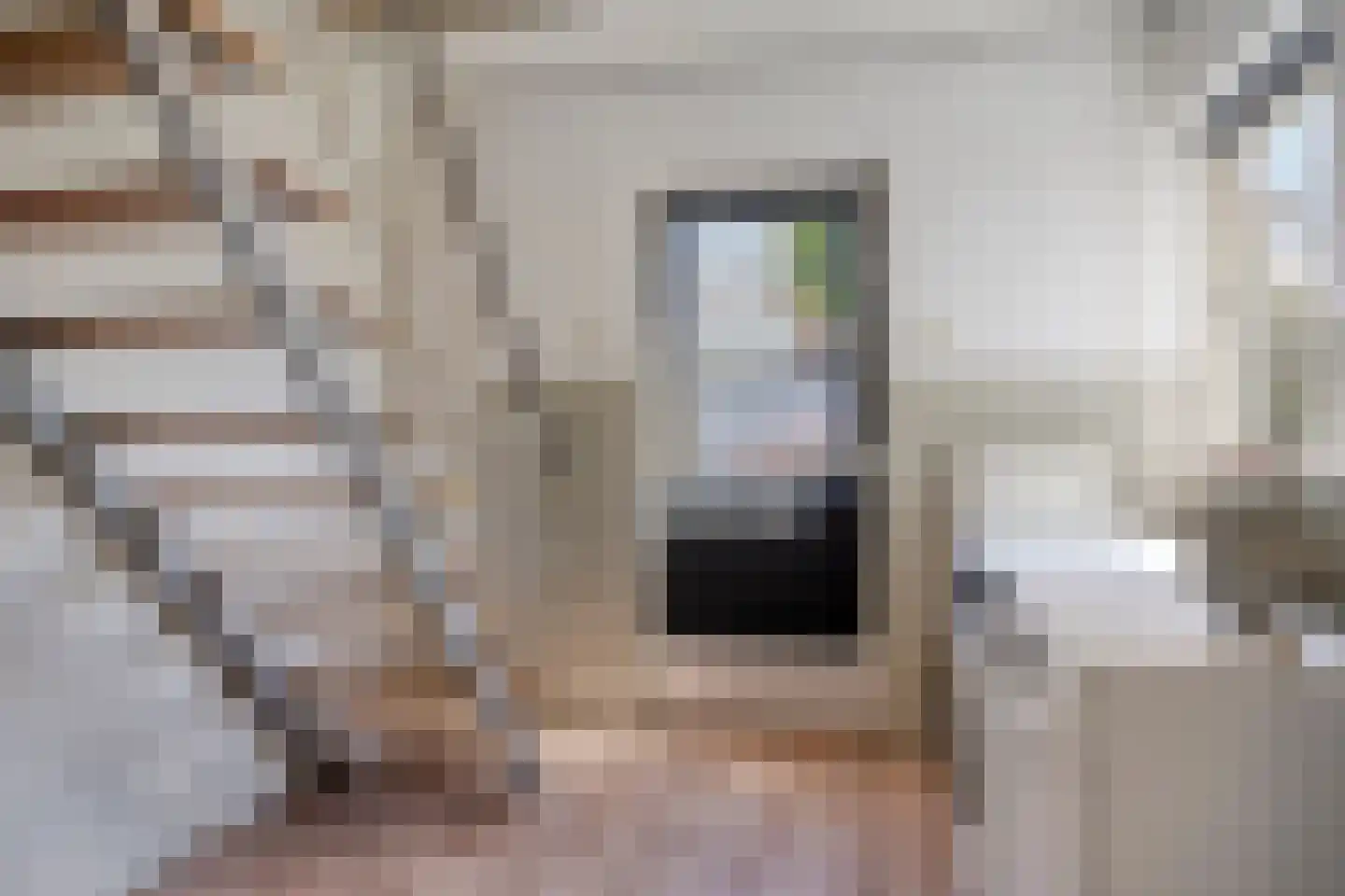 Raadhuisstraat 106 Rosmalen thumbnail 34
