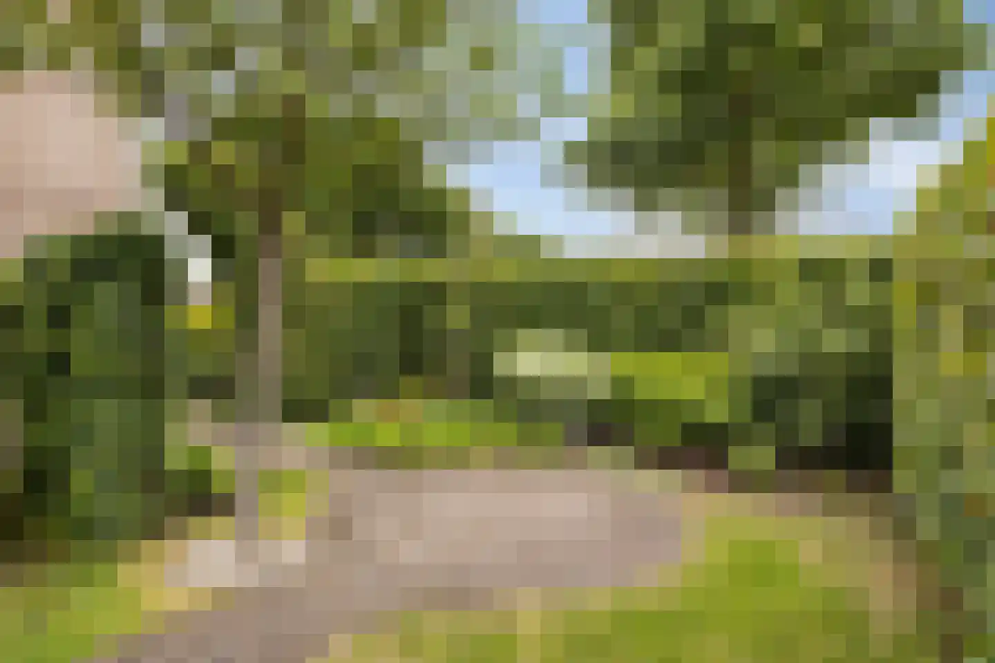 Raadhuisstraat 106 Rosmalen thumbnail 38