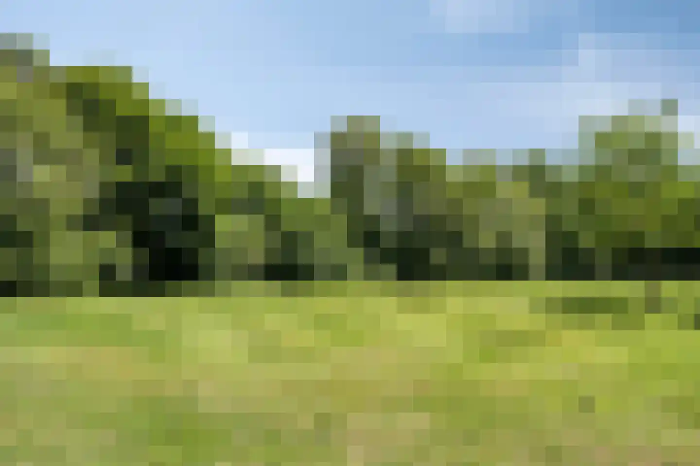 Raadhuisstraat 106 Rosmalen thumbnail 49
