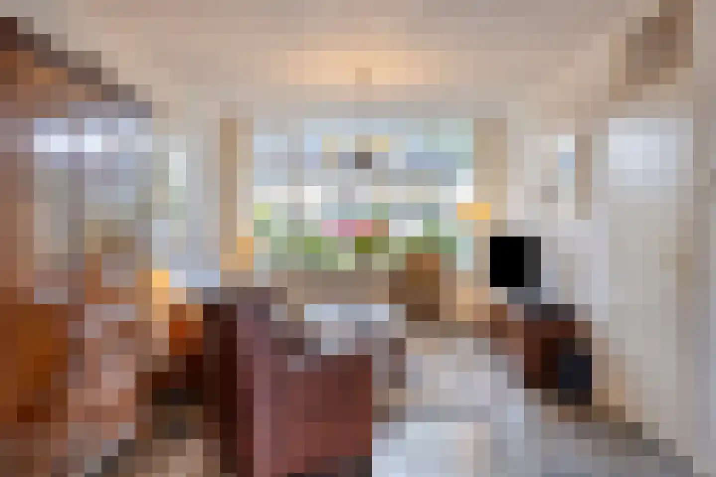Raadhuisstraat 106 Rosmalen thumbnail 7