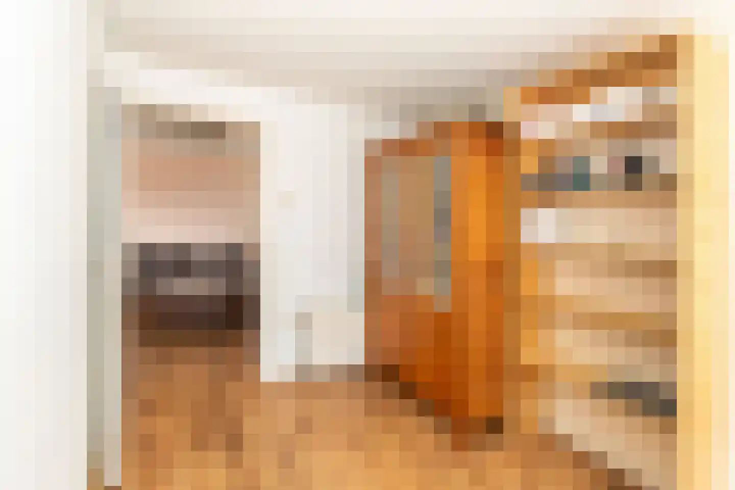 Raadhuisstraat 11 C Ouddorp thumbnail 12