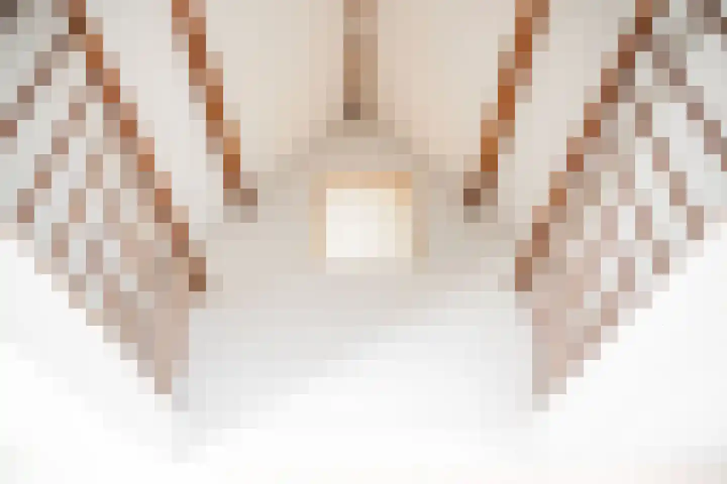 Raadhuisstraat 11 C Ouddorp thumbnail 16