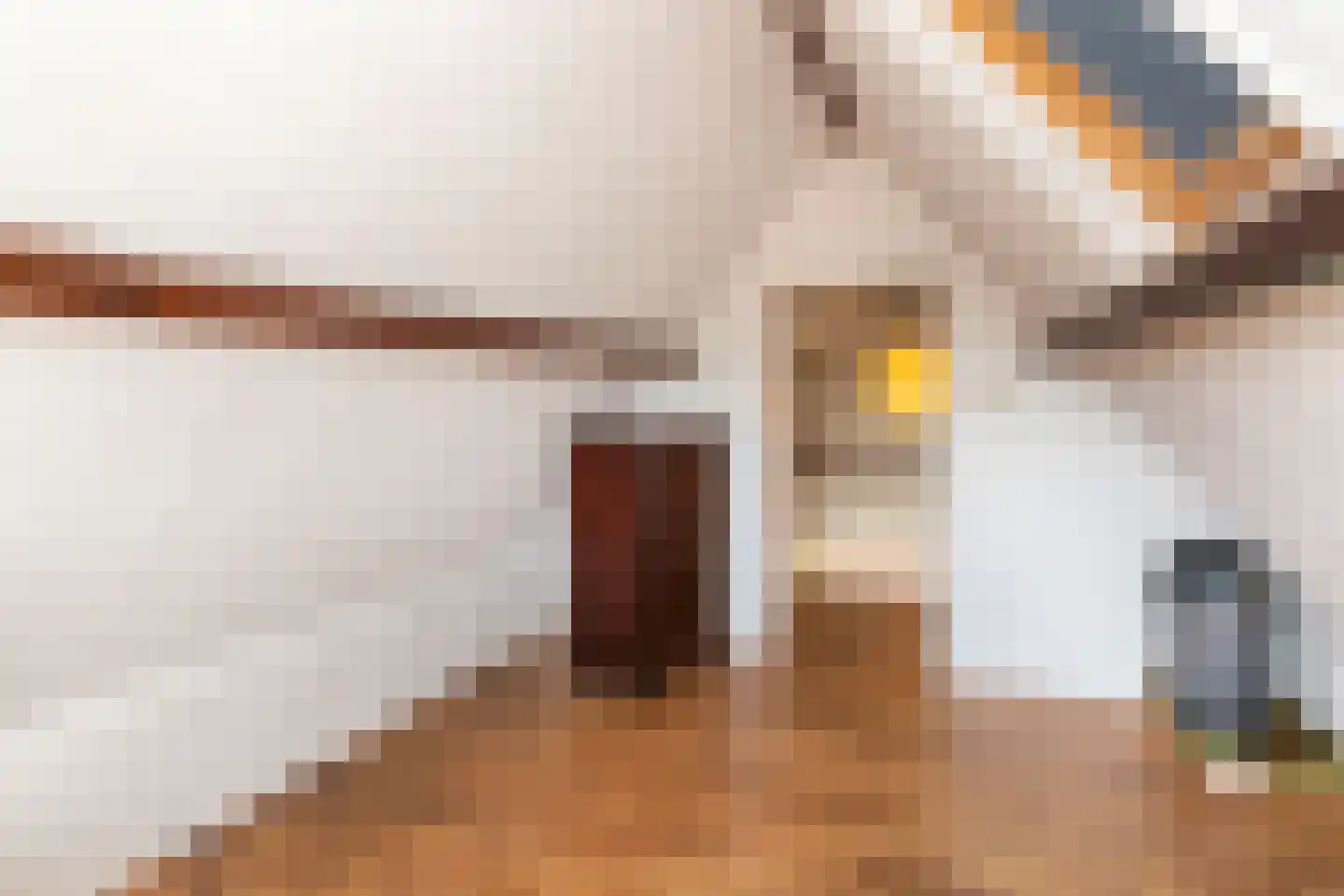 Raadhuisstraat 11 C Ouddorp thumbnail 18
