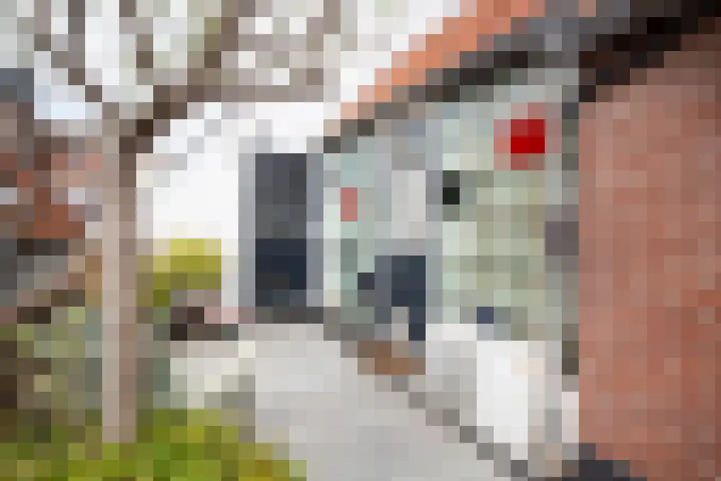 Raadhuisstraat 11 C Ouddorp thumbnail 22