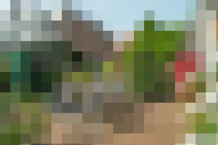 Raadhuisstraat 11 Diemen thumbnail 33