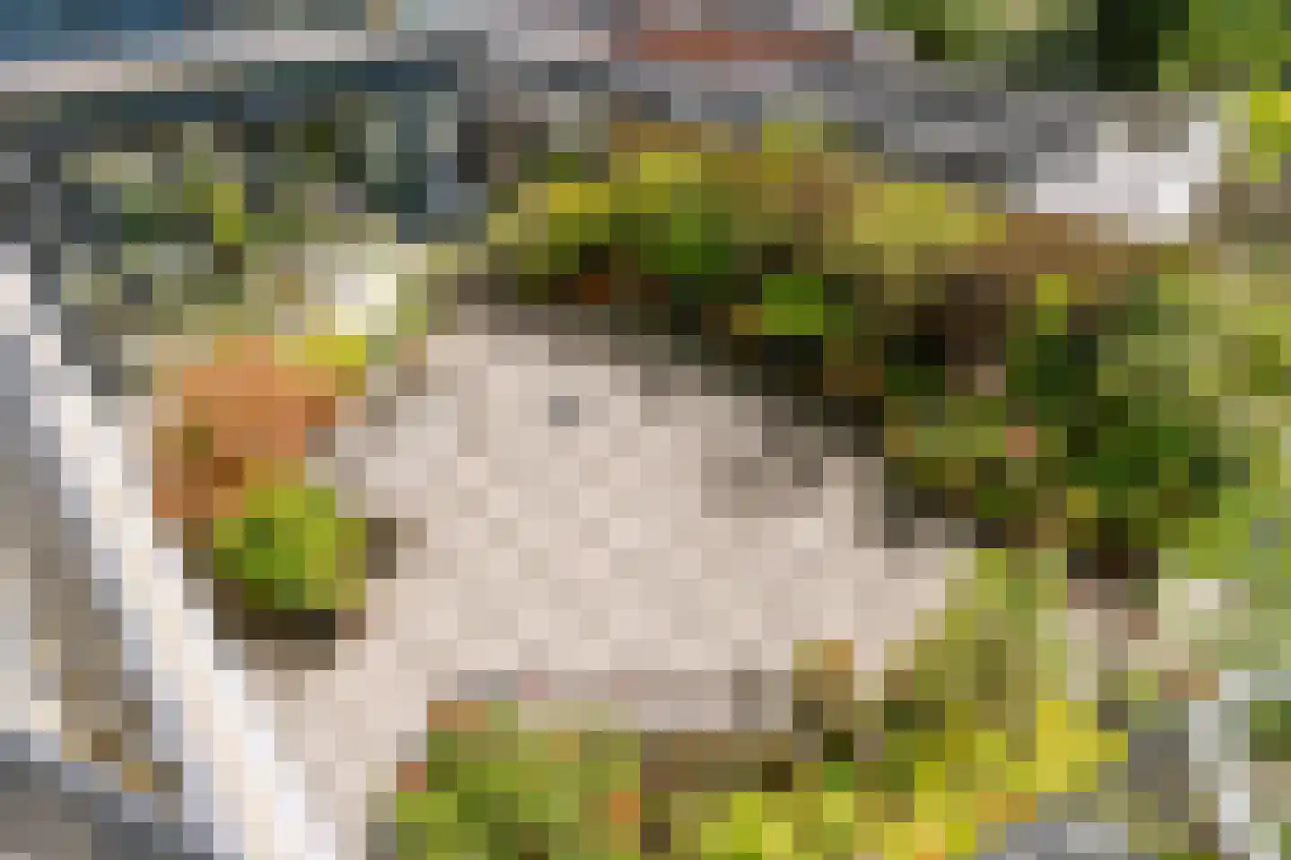 Raadhuisstraat 11 F Heemstede thumbnail 30
