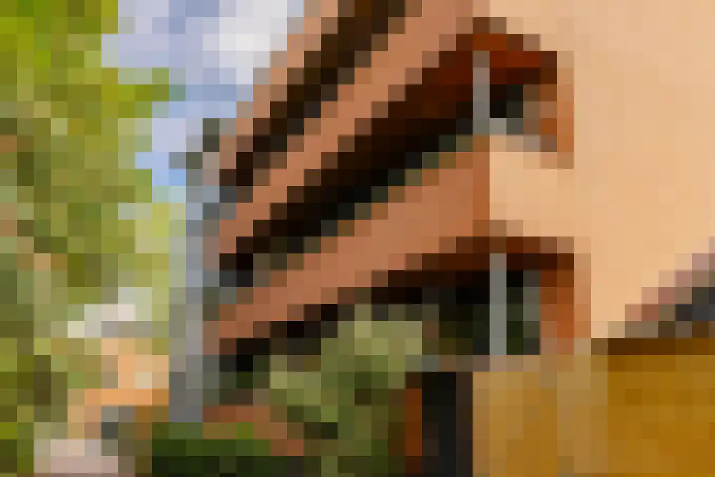 Raadhuisstraat 11 F Heemstede thumbnail 35