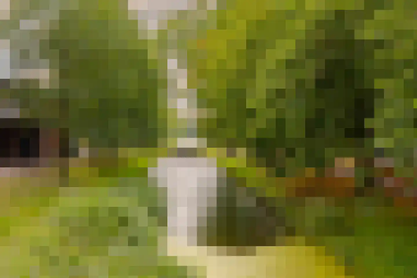 Raadhuisstraat 11 F Heemstede thumbnail 37