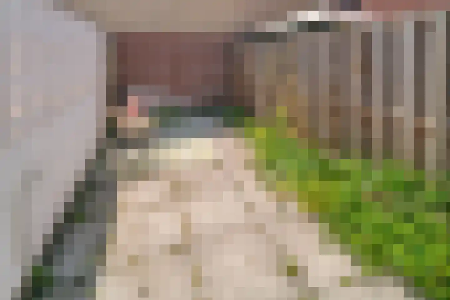 Raadhuisstraat 112 Roosendaal thumbnail 20