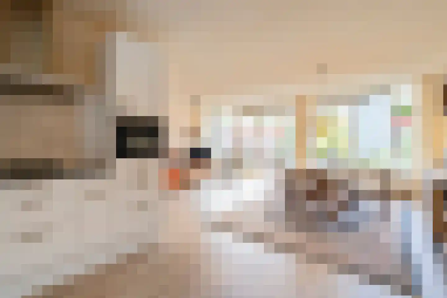 Raadhuisstraat 113 Heemskerk thumbnail 12