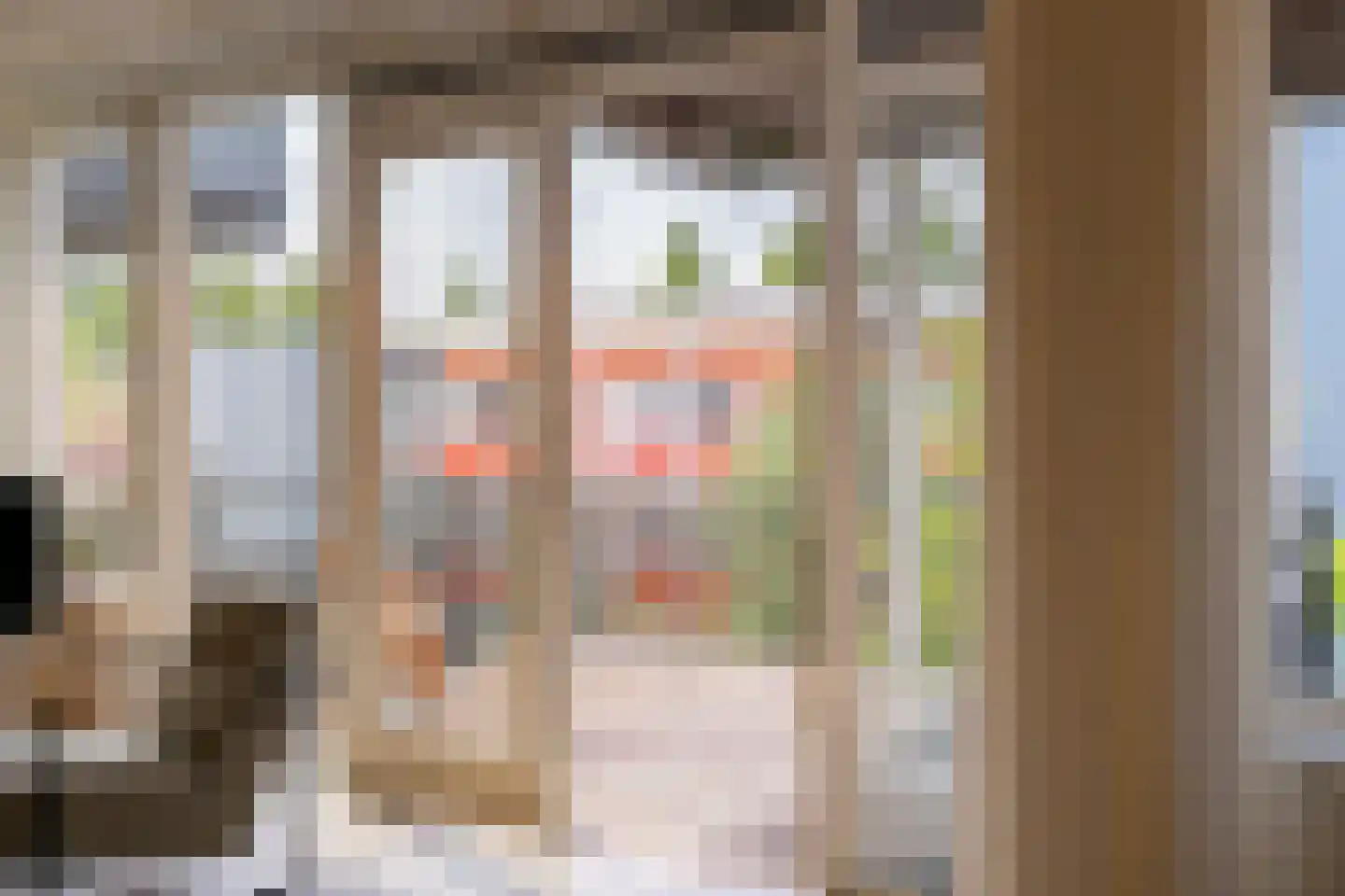 Raadhuisstraat 113 Heemskerk thumbnail 13