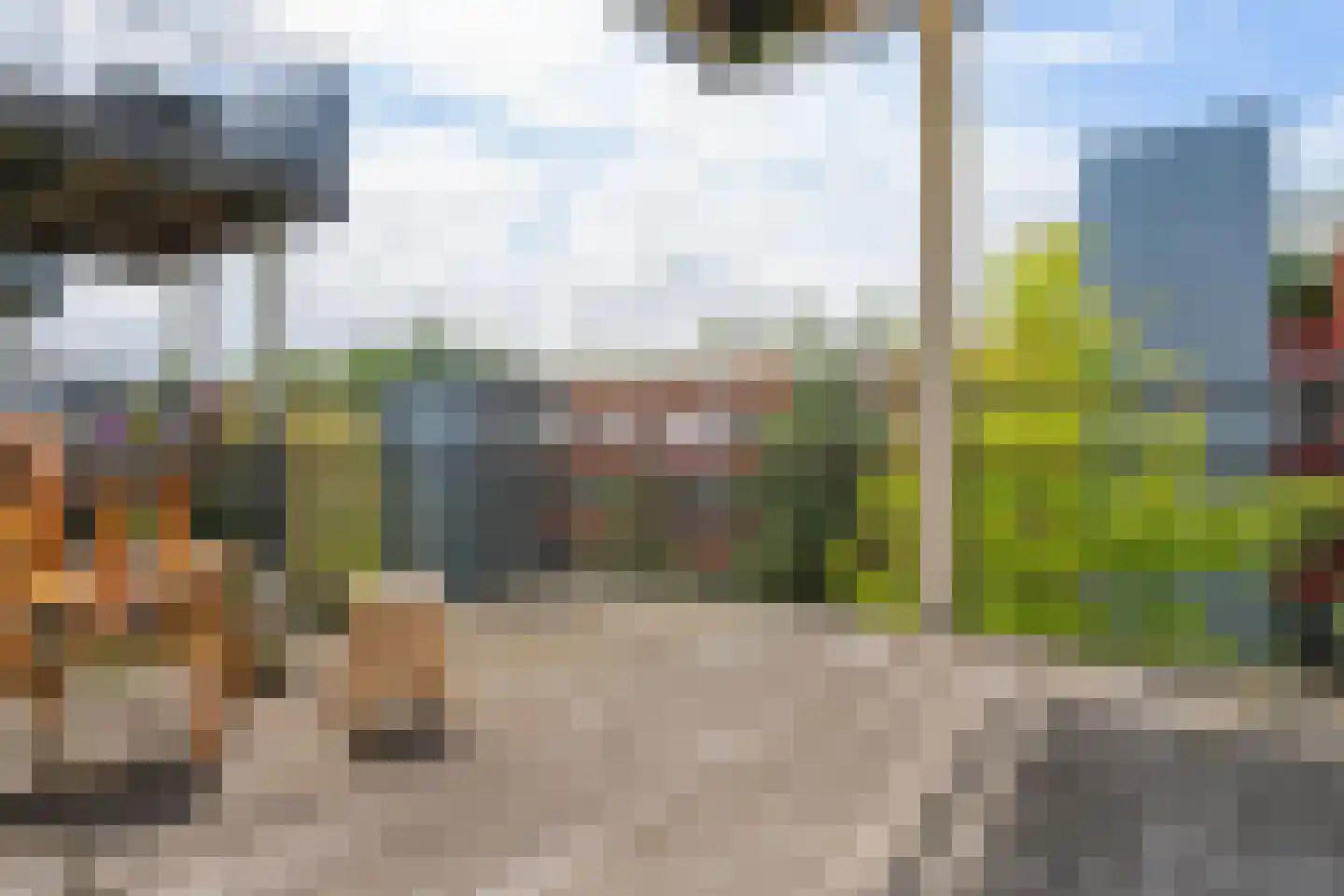 Raadhuisstraat 113 Heemskerk thumbnail 15