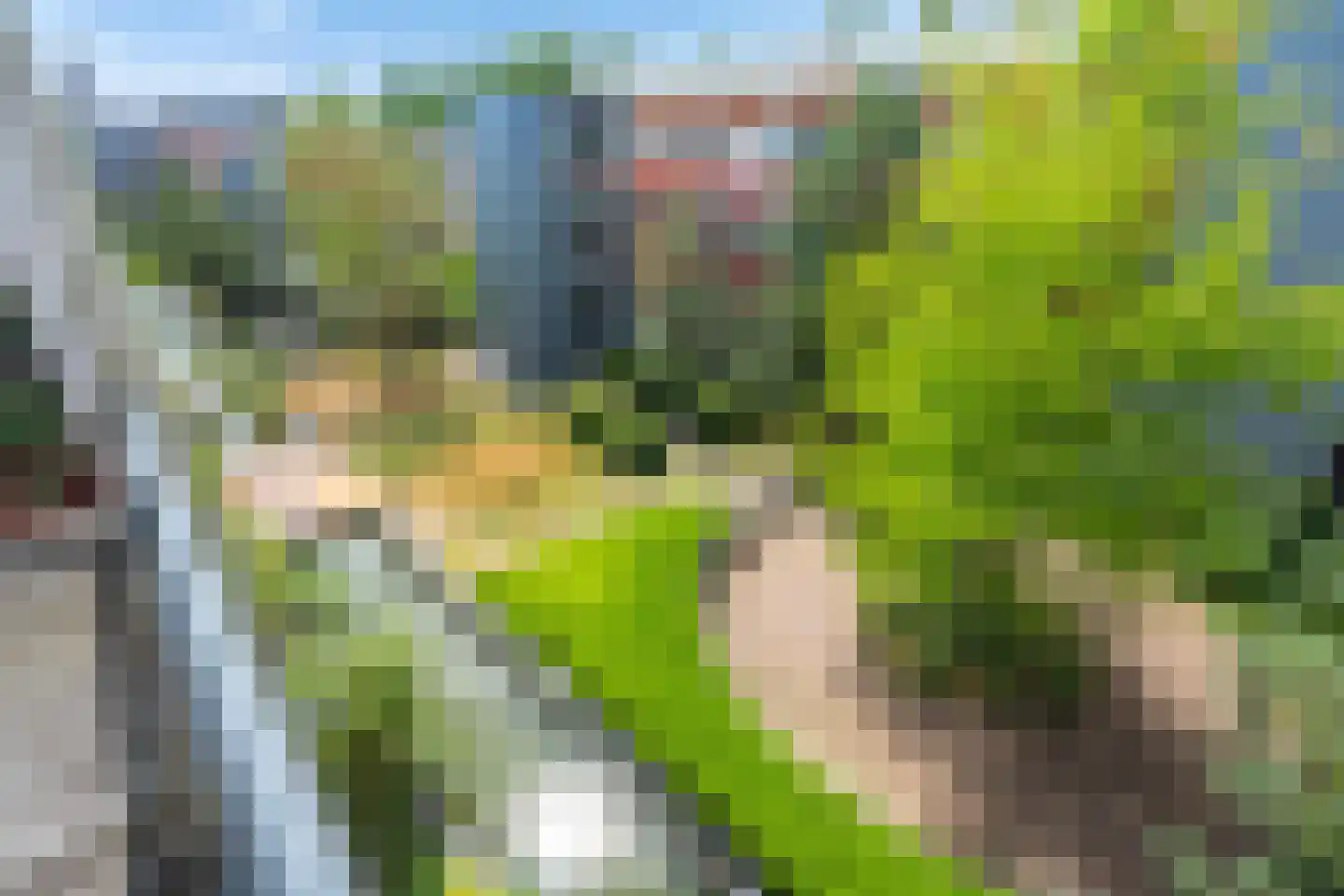 Raadhuisstraat 113 Heemskerk thumbnail 16