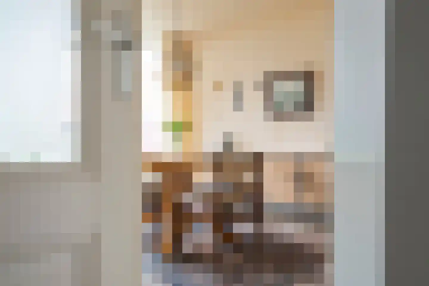 Raadhuisstraat 113 Heemskerk thumbnail 33