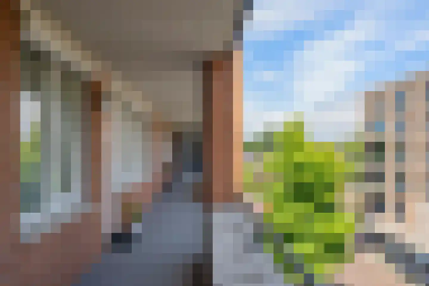 Raadhuisstraat 113 Heemskerk thumbnail 34