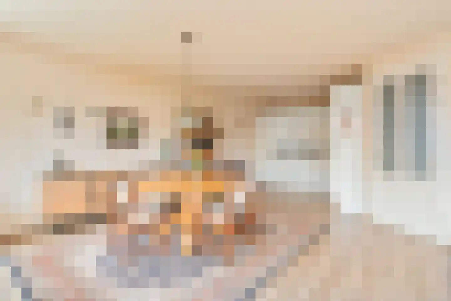 Raadhuisstraat 113 Heemskerk thumbnail 8
