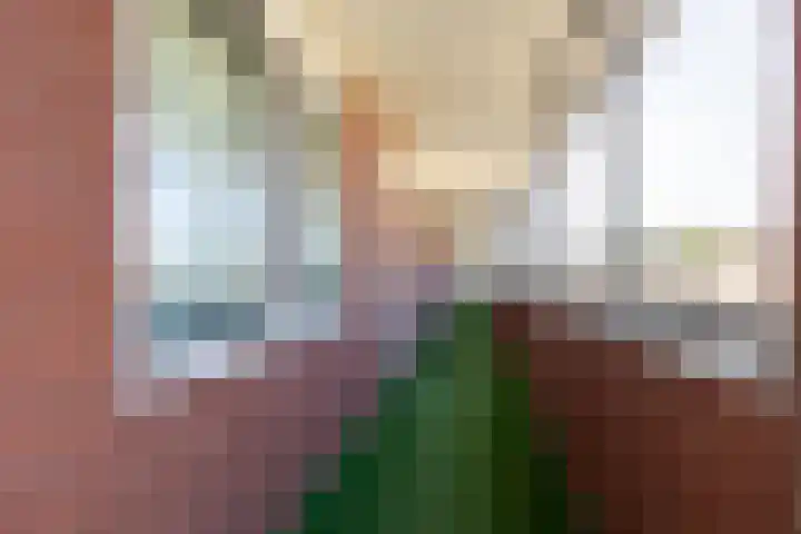 Raadhuisstraat 115 Brunssum thumbnail 14