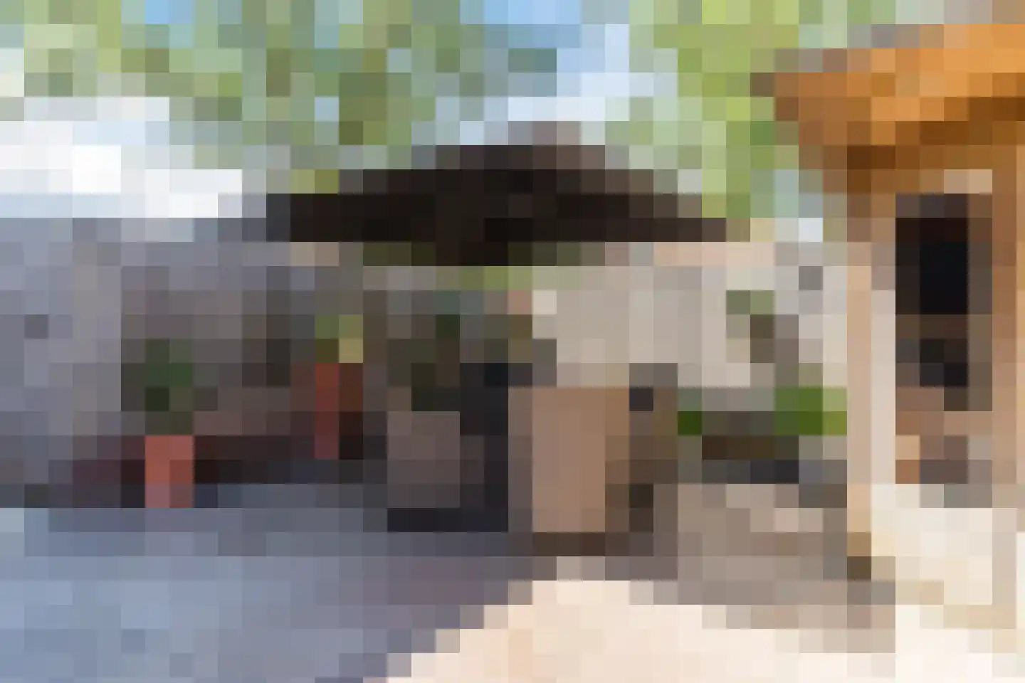 Raadhuisstraat 12 b Eethen thumbnail 30