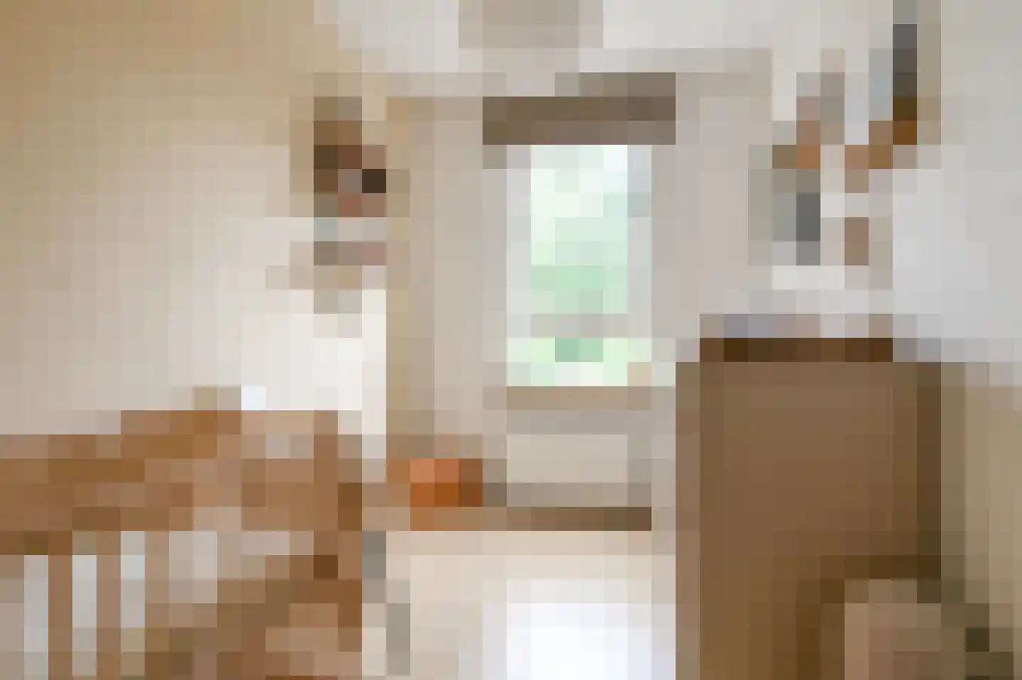 Raadhuisstraat 12 Haarlem thumbnail 12