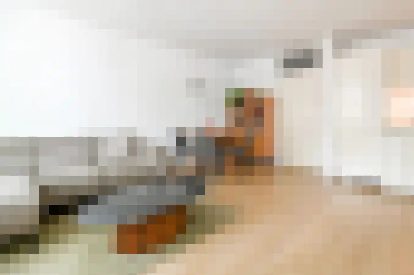 Raadhuisstraat 12 Haarlem thumbnail 6