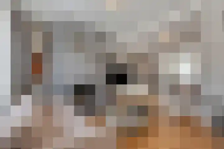 Raadhuisstraat 12 Waarde thumbnail 13