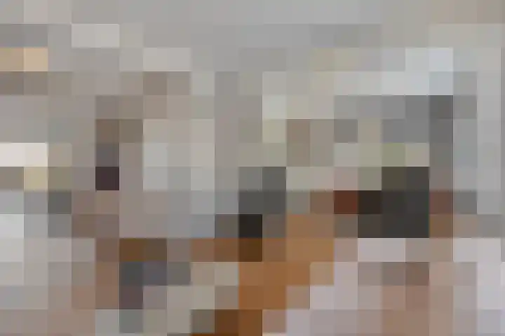 Raadhuisstraat 12 Waarde thumbnail 14