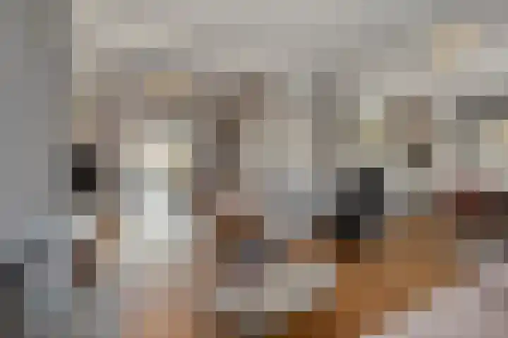 Raadhuisstraat 12 Waarde thumbnail 15