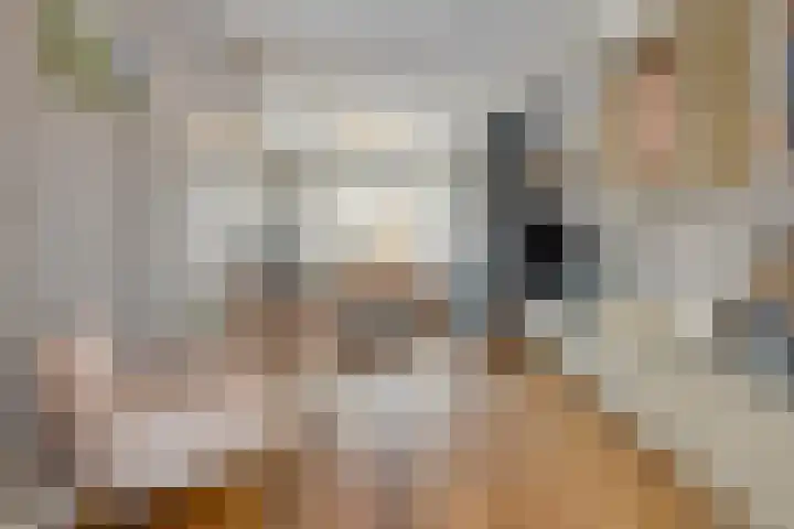 Raadhuisstraat 12 Waarde thumbnail 18
