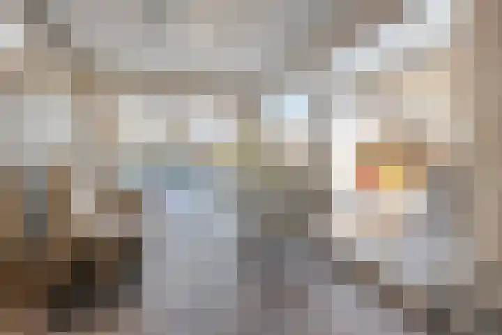 Raadhuisstraat 12 Waarde thumbnail 19