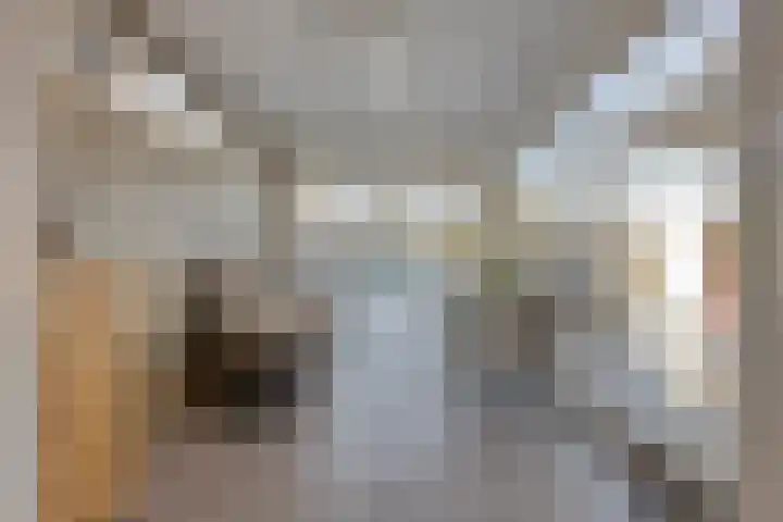 Raadhuisstraat 12 Waarde thumbnail 20