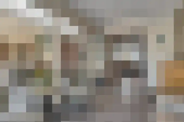 Raadhuisstraat 12 Waarde thumbnail 22