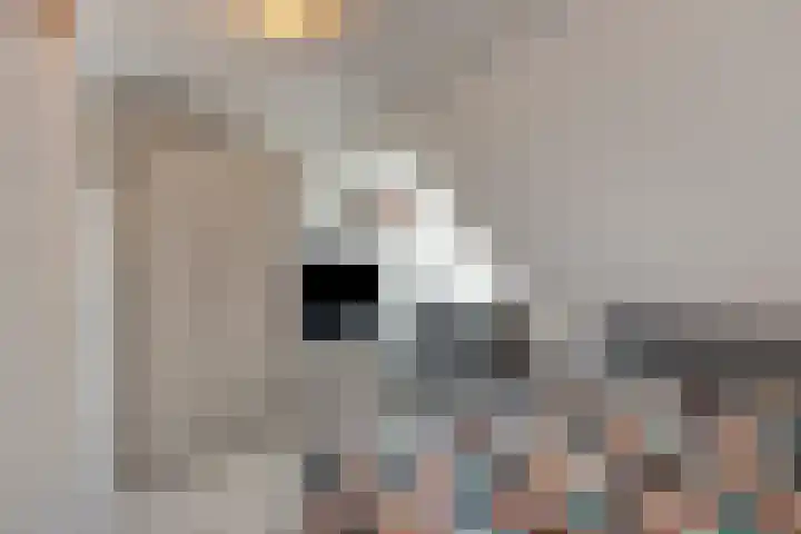 Raadhuisstraat 12 Waarde thumbnail 38