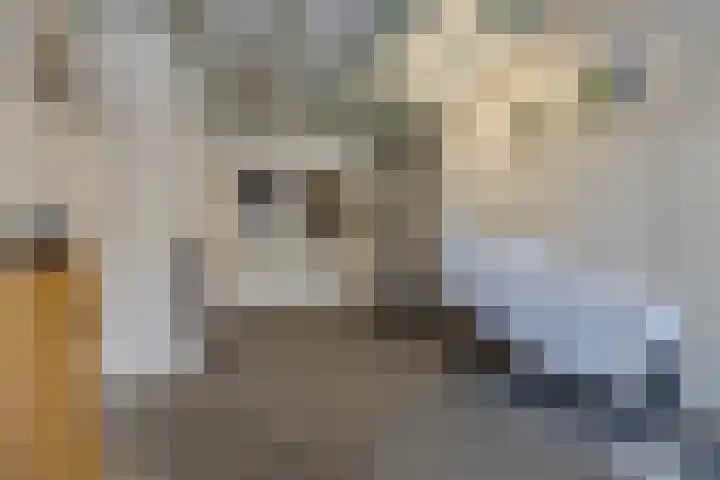 Raadhuisstraat 12 Waarde thumbnail 44