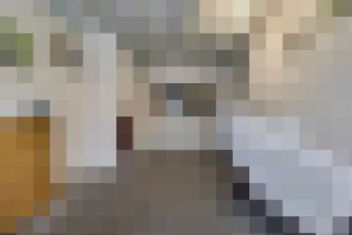 Raadhuisstraat 12 Waarde thumbnail 45