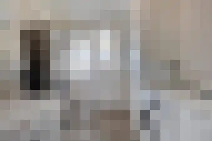 Raadhuisstraat 12 Waarde thumbnail 50