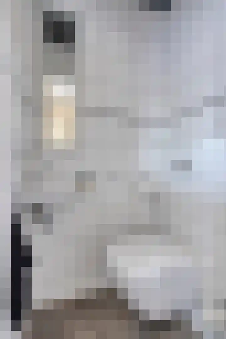 Raadhuisstraat 12 Waarde thumbnail 52