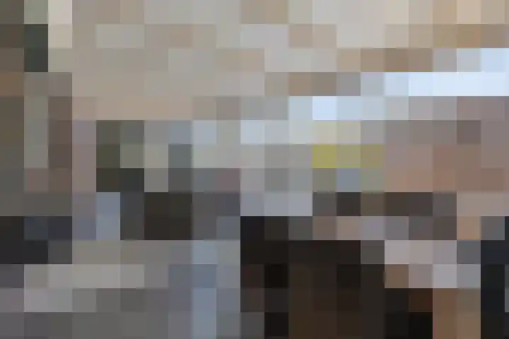 Raadhuisstraat 12 Waarde thumbnail 53