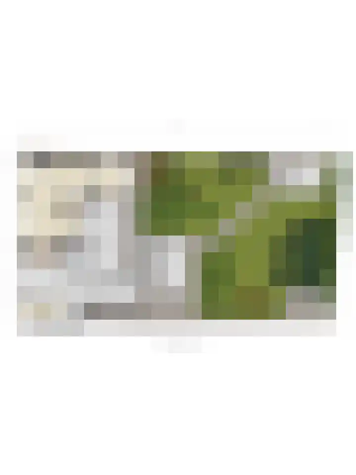 Raadhuisstraat 12 Waarde thumbnail 67