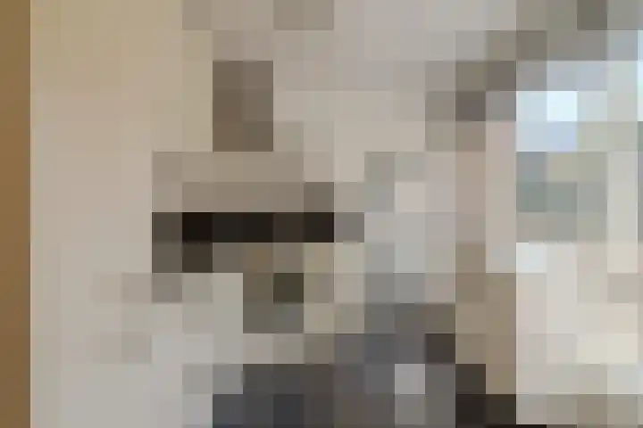 Raadhuisstraat 12 Wijdewormer thumbnail 10
