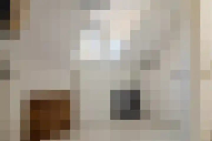 Raadhuisstraat 12 Wijdewormer thumbnail 19