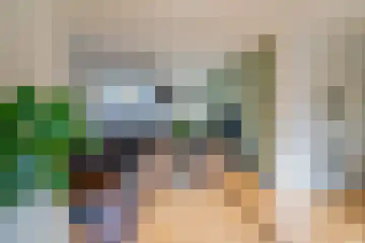 Raadhuisstraat 12 Wijdewormer thumbnail 4