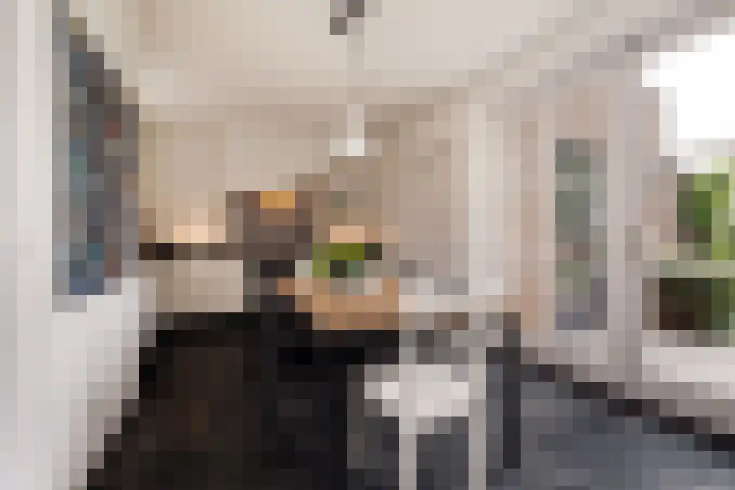 Raadhuisstraat 125 Sprang-Capelle thumbnail 15