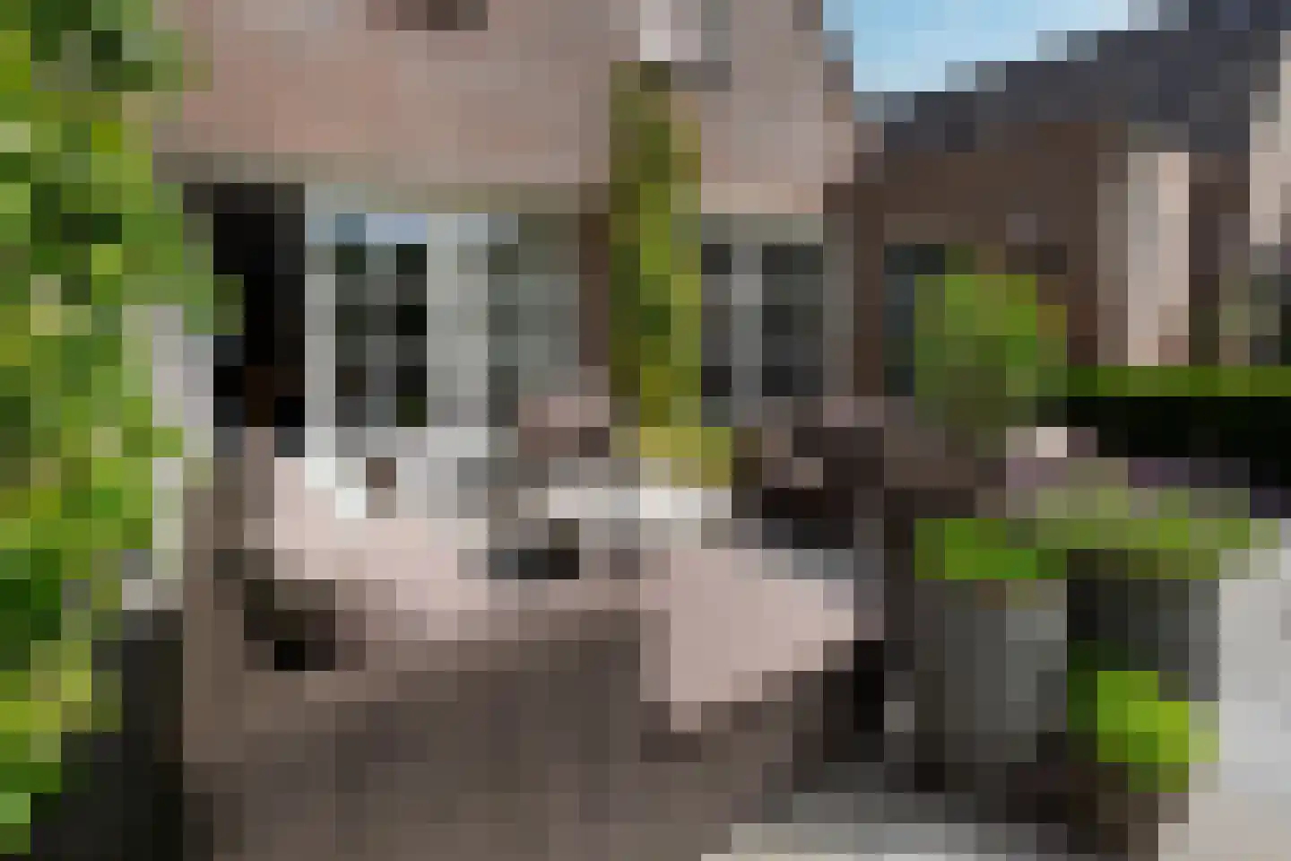 Raadhuisstraat 125 Sprang-Capelle thumbnail 23