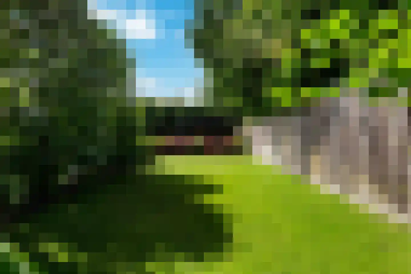Raadhuisstraat 125 Sprang-Capelle thumbnail 27
