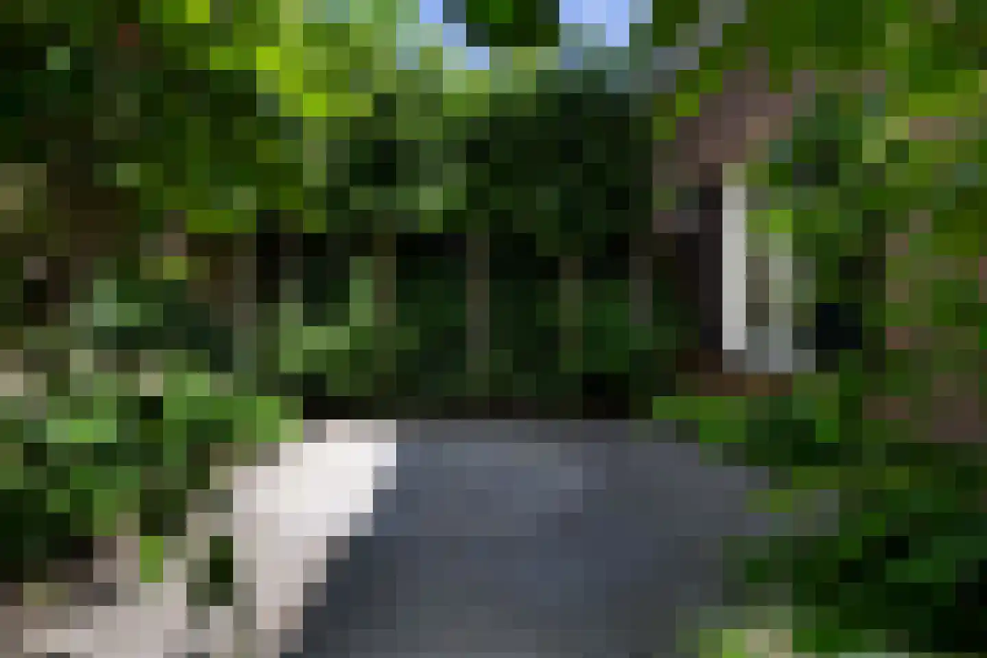Raadhuisstraat 125 Sprang-Capelle thumbnail 28