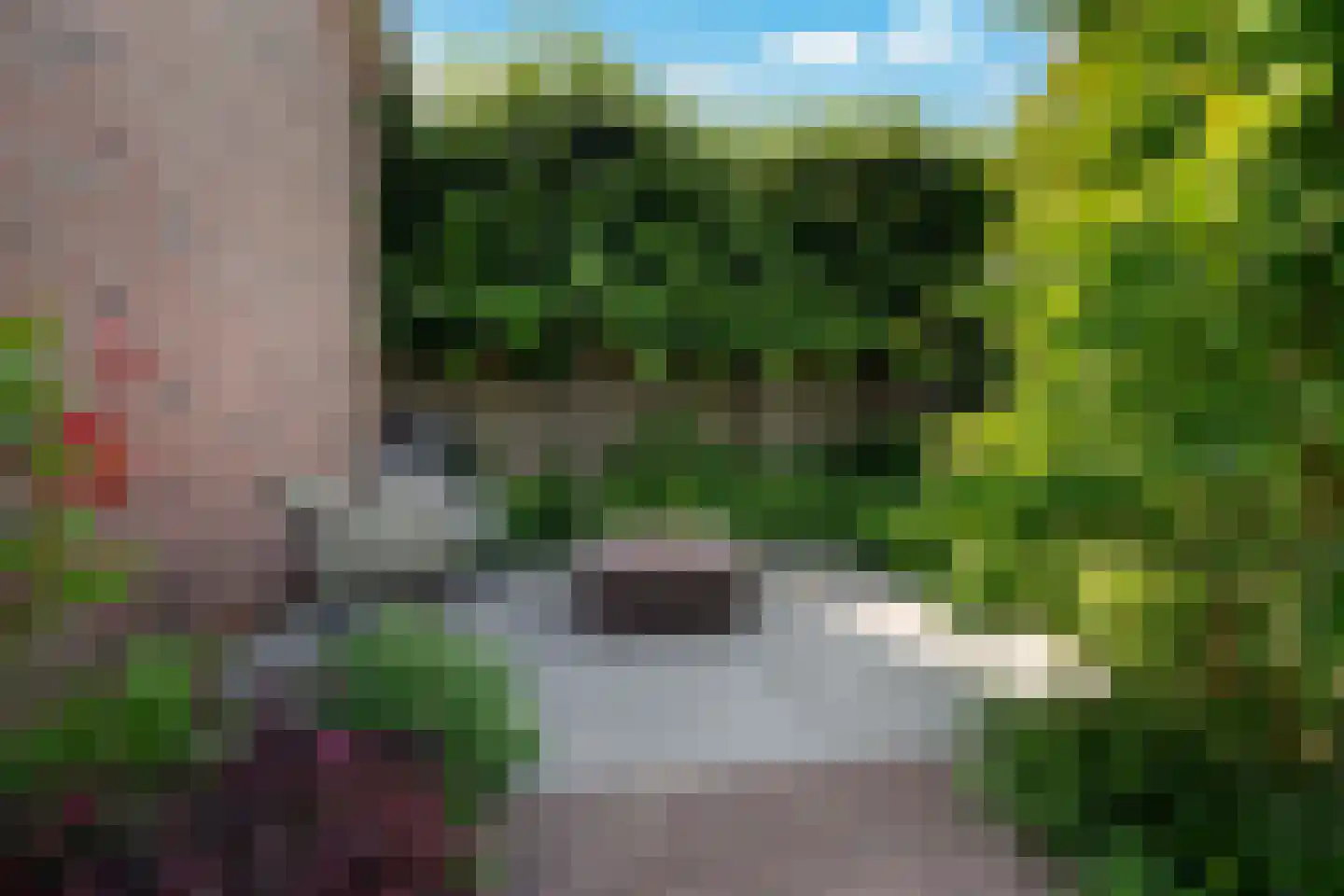 Raadhuisstraat 125 Sprang-Capelle thumbnail 31