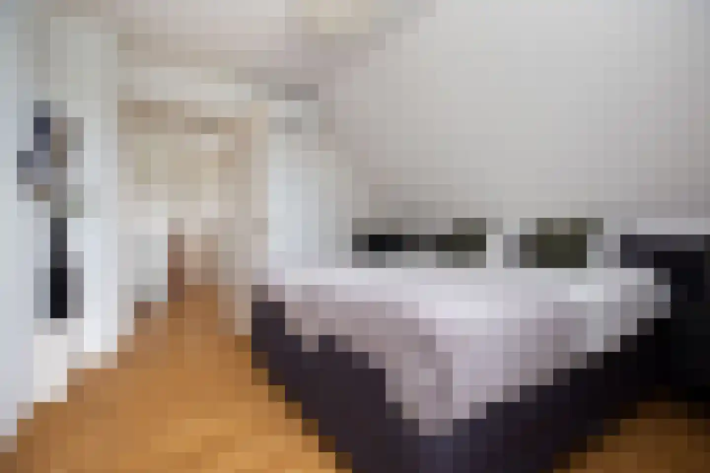 Raadhuisstraat 125 Sprang-Capelle thumbnail 36