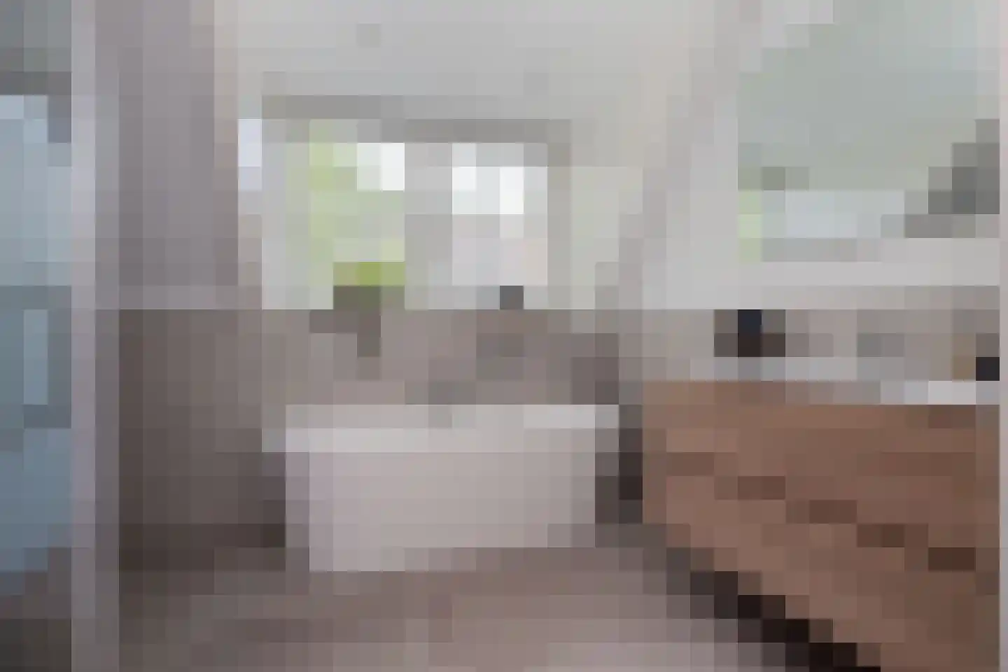Raadhuisstraat 125 Sprang-Capelle thumbnail 41