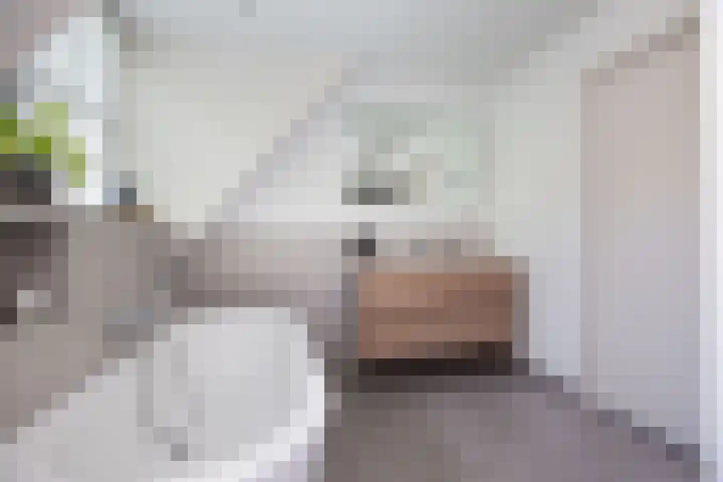 Raadhuisstraat 125 Sprang-Capelle thumbnail 43